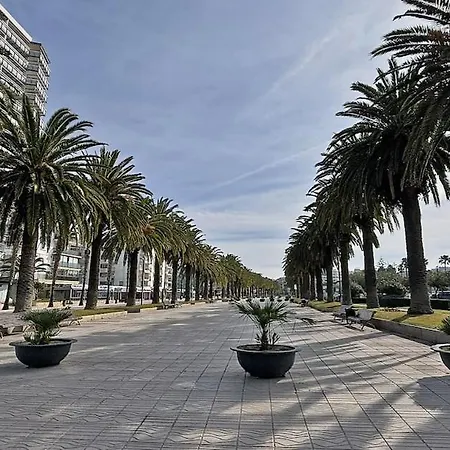 Apartamento Moderno A 100m De La Playa Llevant